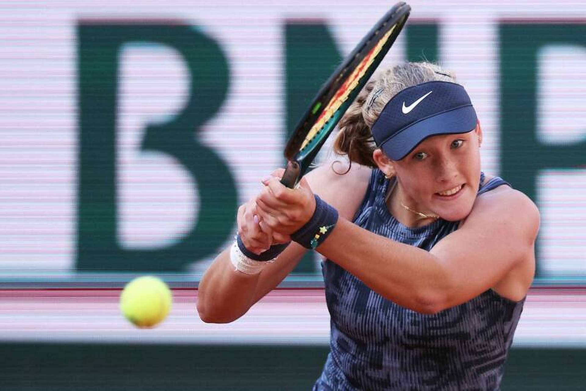 提高樟子松 提高樟子松